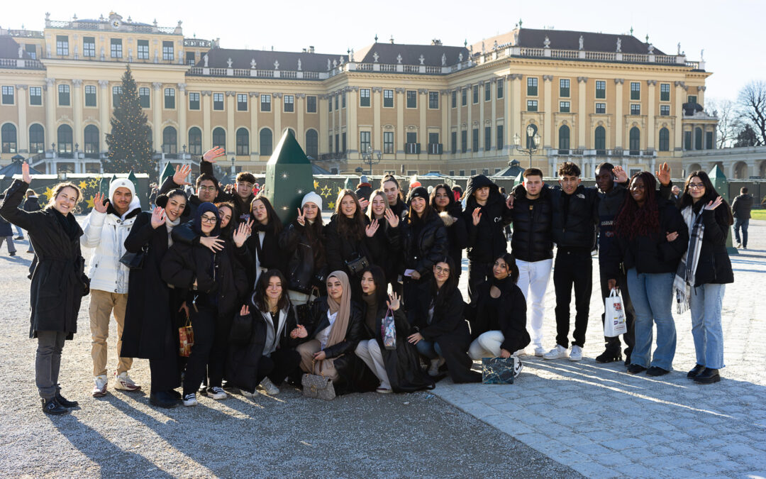 3AK analysiert den USP des Weihnachtsmarkts Schönbrunn