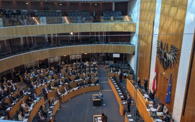 Besuch einer Nationalratssitzung im Parlament