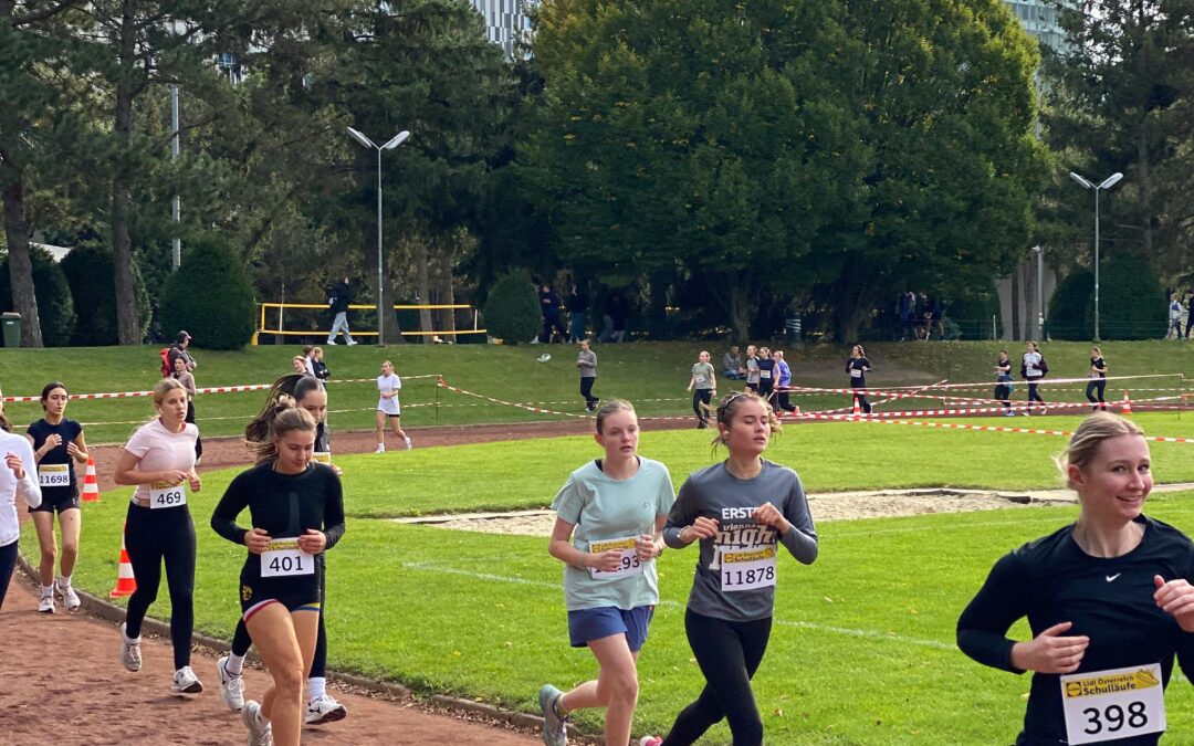Wiener Schullauf